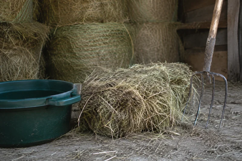 Heuqualität und Lagerung Heuballen und Heugabel im Stall als Symbol für Heuqualität und Lagerung